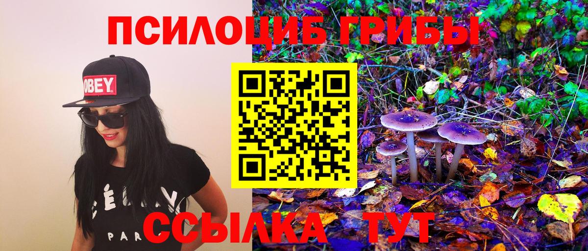 Галлюциногенные грибы мицелий Удомля