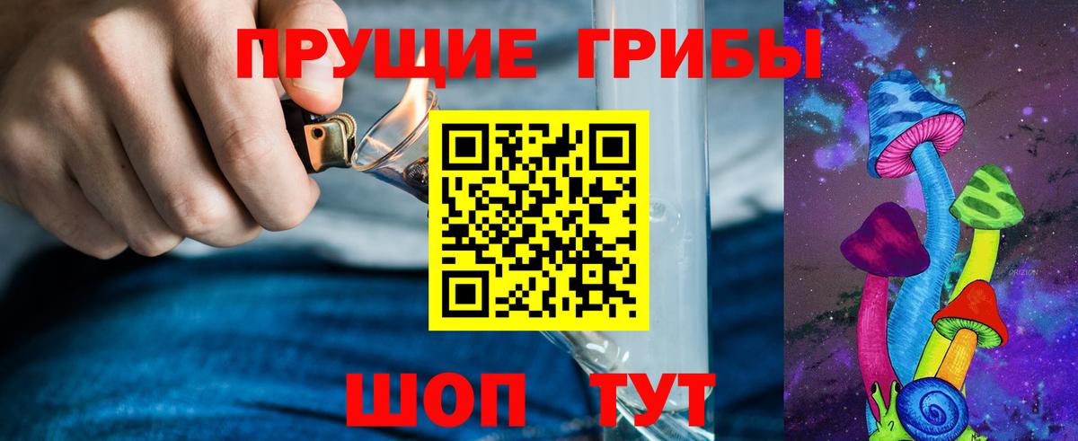 Удомля  Псилоцибиновые грибы Psilocybe  Вход с VPN 
